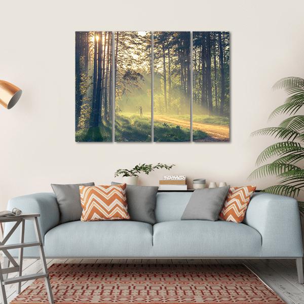 Evening Forest With Sun Canvas Wall Art-4 Horizontal-Gallery Wrap-34" x 24"-Tiaracle