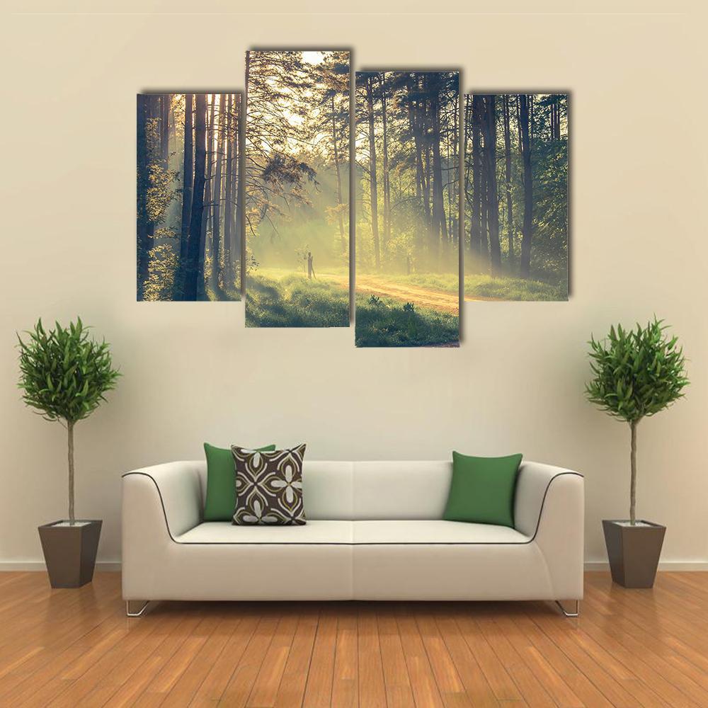 Evening Forest With Sun Canvas Wall Art-4 Pop-Gallery Wrap-50" x 32"-Tiaracle