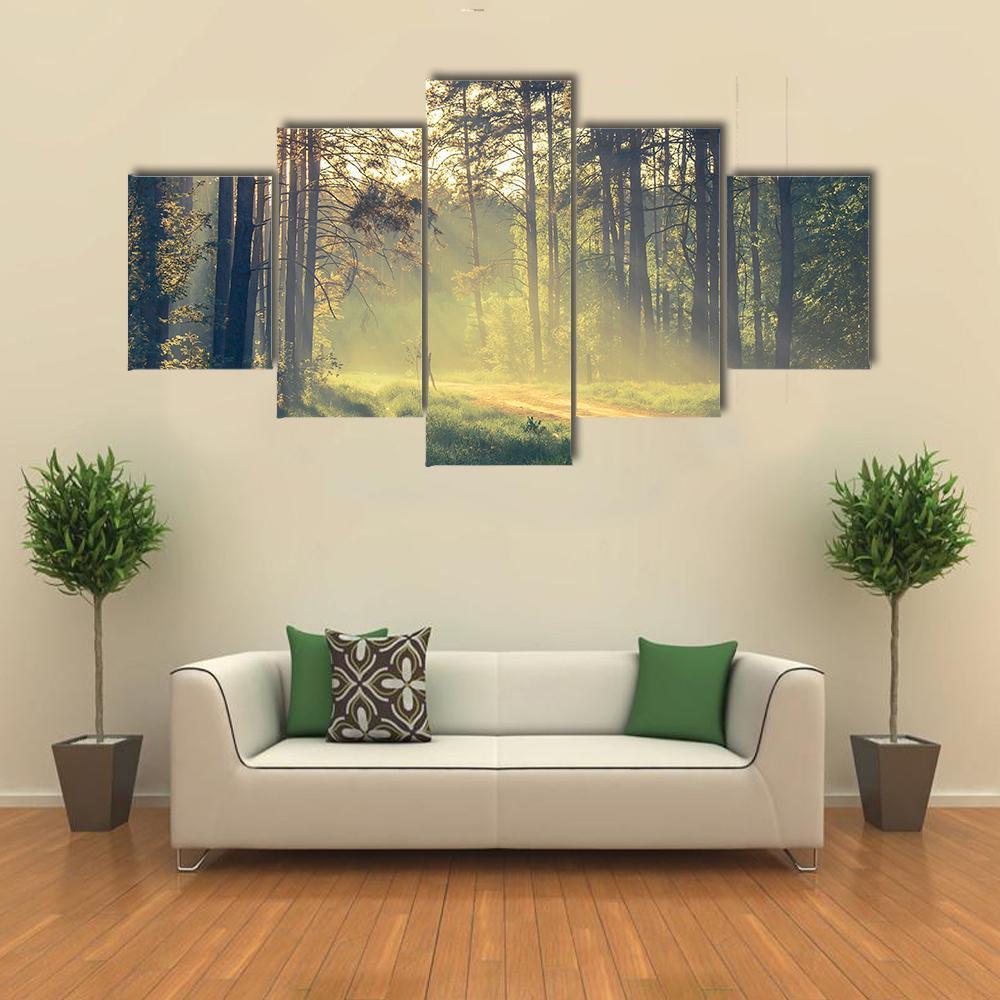 Evening Forest With Sun Canvas Wall Art-4 Pop-Gallery Wrap-50" x 32"-Tiaracle