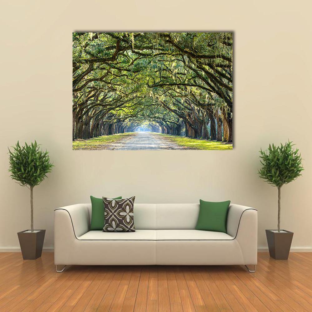 Wormsloe Live Oak Tree Tunnel Canvas Wall Art in brown and green, single panel hung on a wall