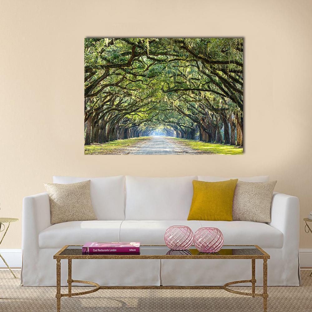 Wormsloe Tree Tunnel Canvas Wall Art-1 Piece-Gallery Wrap-36" x 24"-Tiaracle