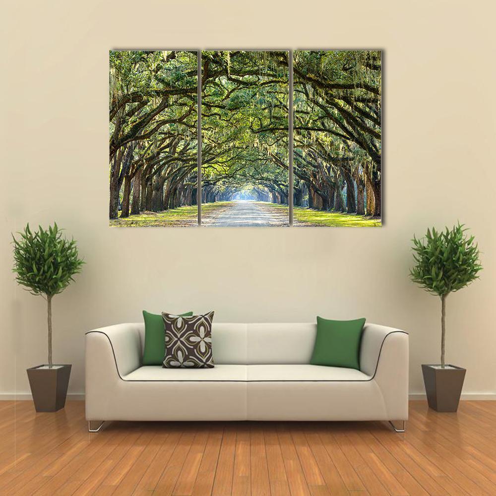 Wormsloe Tree Tunnel Canvas Wall Art-3 Horizontal-Gallery Wrap-25" x 16"-Tiaracle