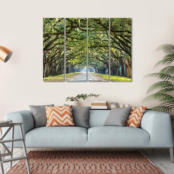 Wormsloe Tree Tunnel Canvas Wall Art-4 Horizontal-Gallery Wrap-34" x 24"-Tiaracle