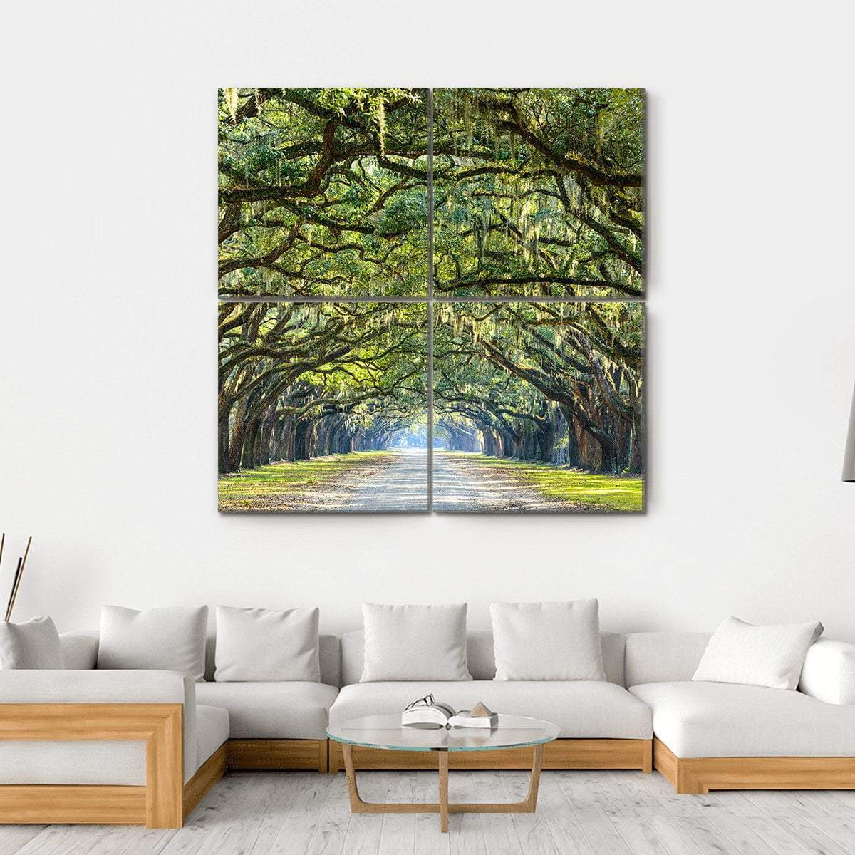 Wormsloe Tree Tunnel Canvas Wall Art-4 Square-Gallery Wrap-17" x 17"-Tiaracle