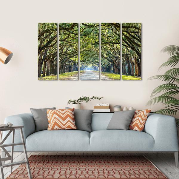 Wormsloe Tree Tunnel Canvas Wall Art-5 Horizontal-Gallery Wrap-22" x 12"-Tiaracle