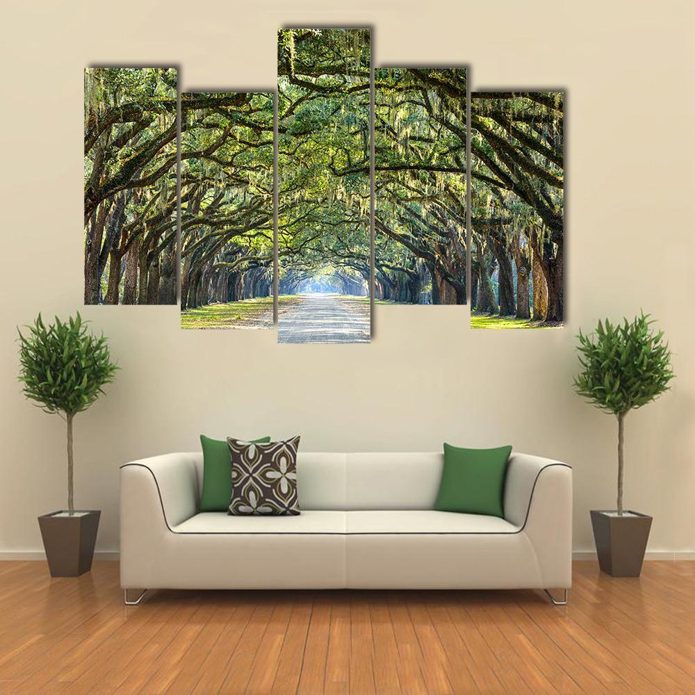 Wormsloe Tree Tunnel Canvas Wall Art-5 Pop-Gallery Wrap-32" x 21"-Tiaracle