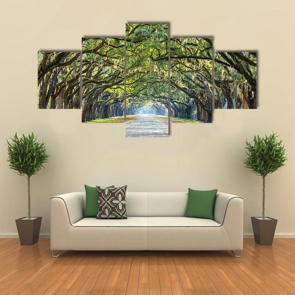 Wormsloe Tree Tunnel Canvas Wall Art-5 Star-Gallery Wrap-42" x 21"-Tiaracle