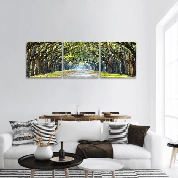 Oak Tree Tunnel with Spanish Moss Panoramic Canvas Wall Art in brown and green, hung on a wall