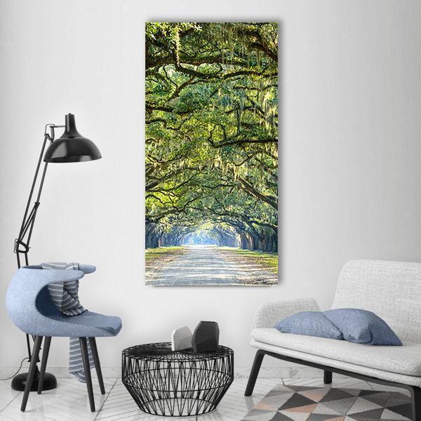 Wormsloe Tree Tunnel Vertical Canvas Wall Art-3 Vertical-Gallery Wrap-12" x 25"-Tiaracle