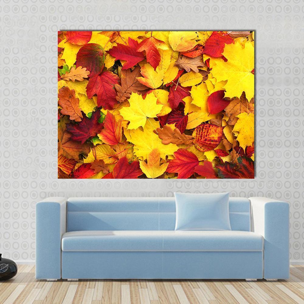 Fallen Autumn Leaves Canvas Wall Art in red, orange and yellow, single panel hung on a wall