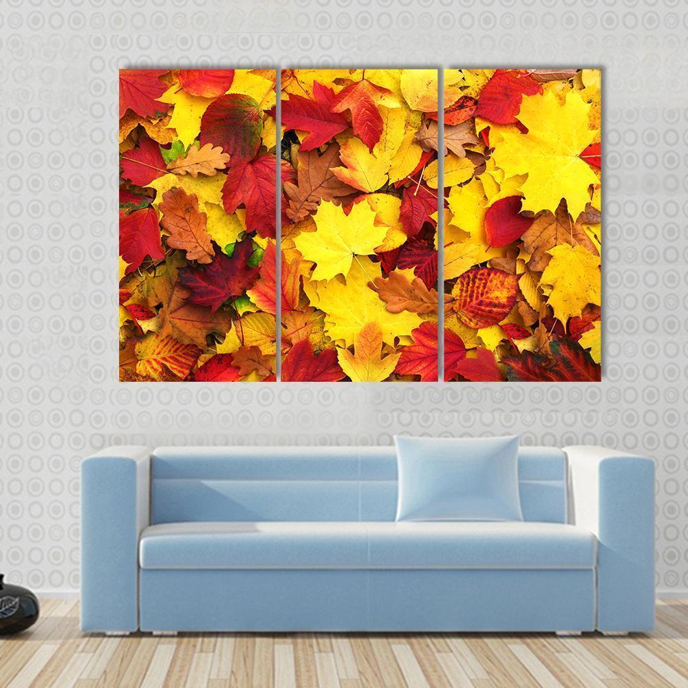 Fallen Autumn Leaves Canvas Wall Art-3 Horizontal-Gallery Wrap-37" x 24"-Tiaracle