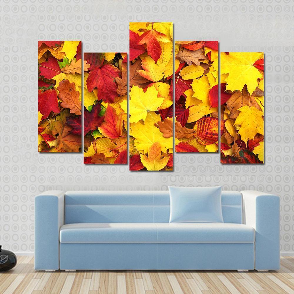 Fallen Autumn Leaves Canvas Wall Art-3 Horizontal-Gallery Wrap-37" x 24"-Tiaracle