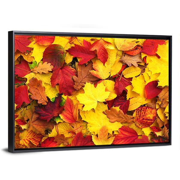 Fallen Autumn Leaves Canvas Wall Art-3 Horizontal-Gallery Wrap-25" x 16"-Tiaracle