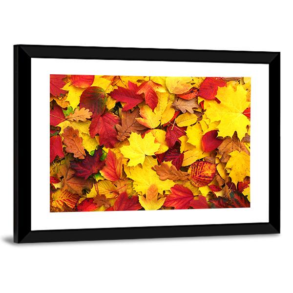 Fallen Autumn Leaves Canvas Wall Art-3 Horizontal-Gallery Wrap-25" x 16"-Tiaracle