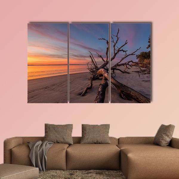Tree Trunk On Beach Canvas Wall Art-3 Horizontal-Gallery Wrap-25" x 16"-Tiaracle