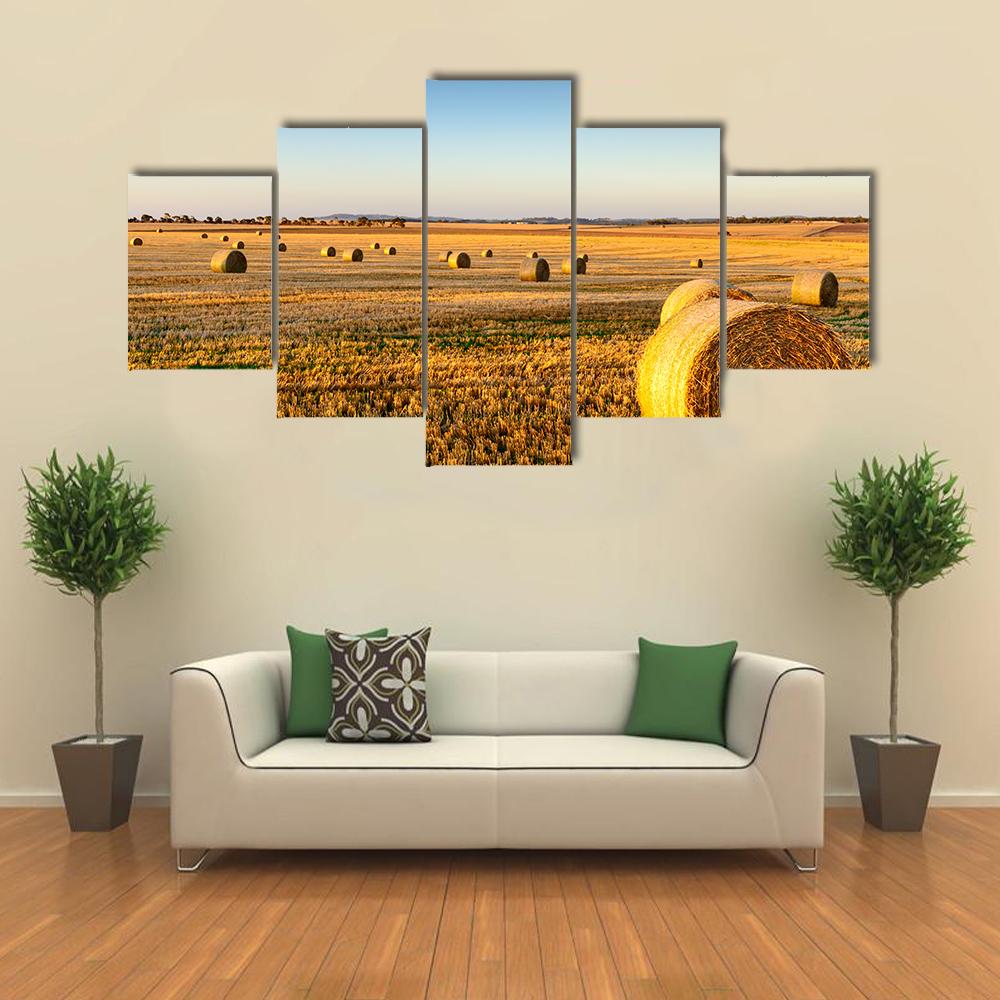 Farm Land Hay Bales On A Sunset Canvas Wall Art-5 Star-Gallery Wrap-42" x 21"-Tiaracle