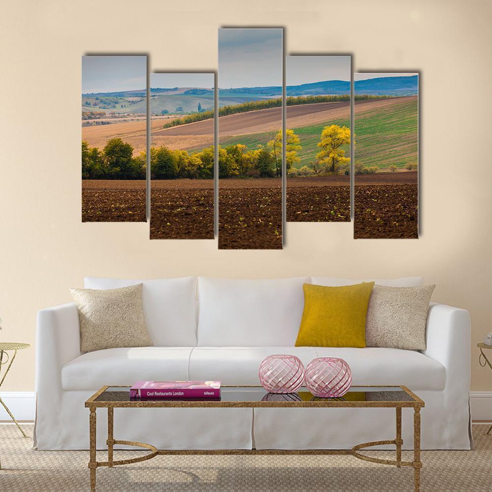Farm Landscape In South Moravia Canvas Wall Art-5 Pop-Gallery Wrap-47" x 32"-Tiaracle
