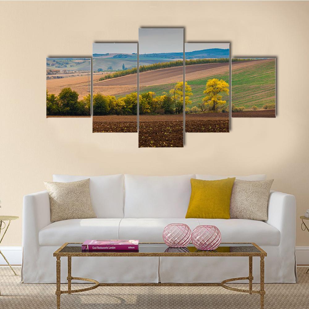 Farm Landscape In South Moravia Canvas Wall Art-5 Star-Gallery Wrap-62" x 32"-Tiaracle