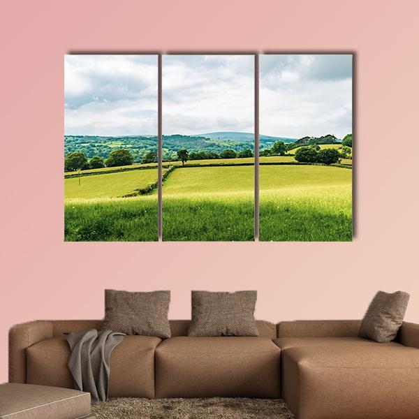 Farmland Inside Dartmoor National Park Canvas Wall Art-3 Horizontal-Gallery Wrap-37" x 24"-Tiaracle