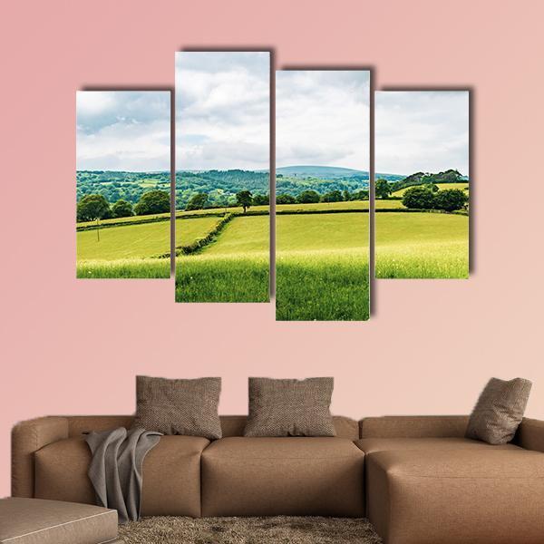 Farmland Inside Dartmoor National Park Canvas Wall Art-4 Pop-Gallery Wrap-50" x 32"-Tiaracle