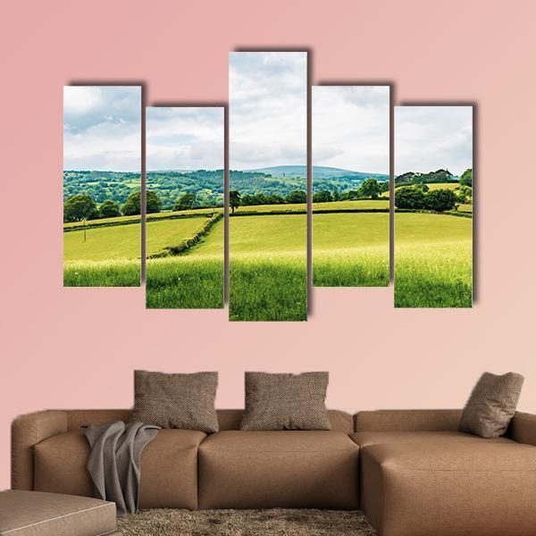 Farmland Inside Dartmoor National Park Canvas Wall Art-5 Pop-Gallery Wrap-47" x 32"-Tiaracle
