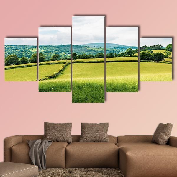 Farmland Inside Dartmoor National Park Canvas Wall Art-3 Horizontal-Gallery Wrap-37" x 24"-Tiaracle