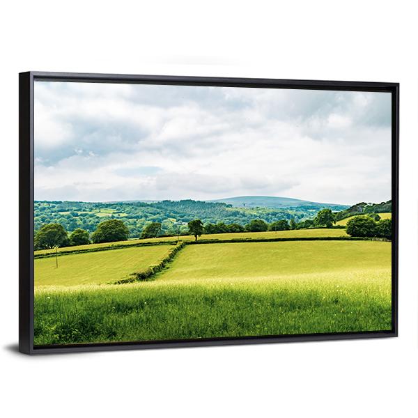 Farmland Inside Dartmoor National Park Canvas Wall Art-3 Horizontal-Gallery Wrap-25" x 16"-Tiaracle