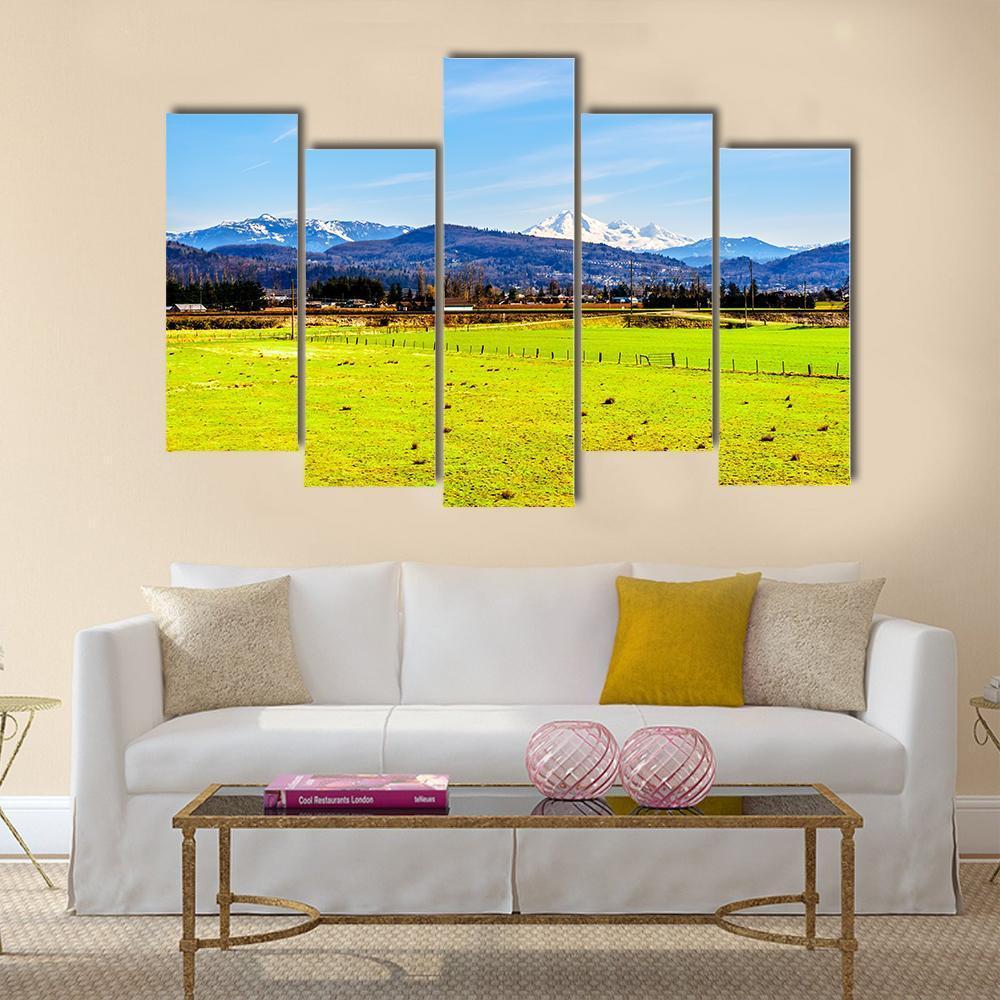 Farmland With Mount Baker Canvas Wall Art-5 Pop-Gallery Wrap-47" x 32"-Tiaracle