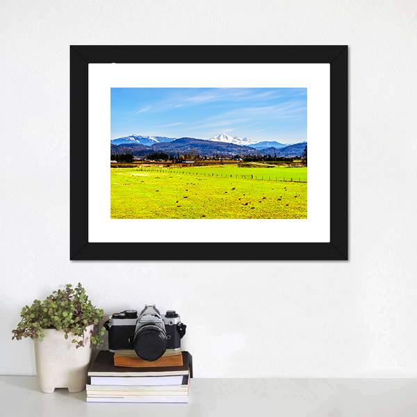 Farmland With Mount Baker Canvas Wall Art-1 Piece-Framed Print-20" x 16"-Tiaracle