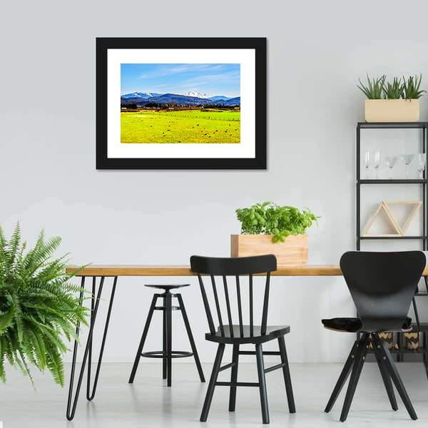 Farmland With Mount Baker Canvas Wall Art-3 Horizontal-Gallery Wrap-25" x 16"-Tiaracle
