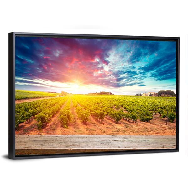 Field In Tuscany Canvas Wall Art-3 Horizontal-Gallery Wrap-25" x 16"-Tiaracle