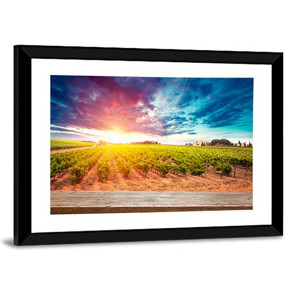 Field In Tuscany Canvas Wall Art-3 Horizontal-Gallery Wrap-25" x 16"-Tiaracle
