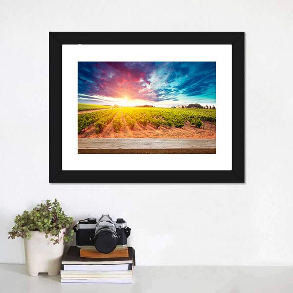 Field In Tuscany Canvas Wall Art-1 Piece-Framed Print-20" x 16"-Tiaracle