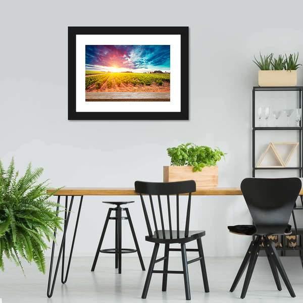 Field In Tuscany Canvas Wall Art-3 Horizontal-Gallery Wrap-25" x 16"-Tiaracle