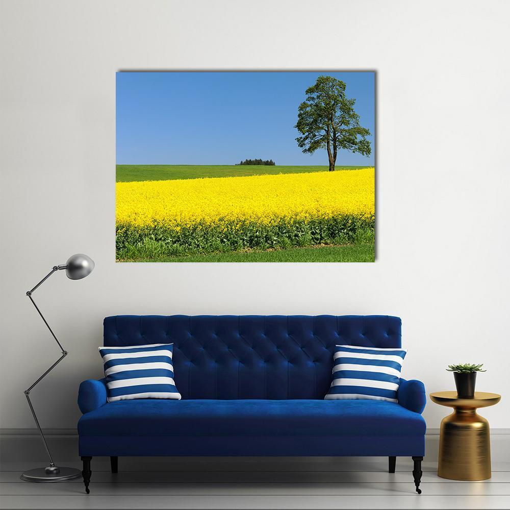 Field Of Rapeseed Canvas Wall Art-1 Piece-Gallery Wrap-48" x 32"-Tiaracle