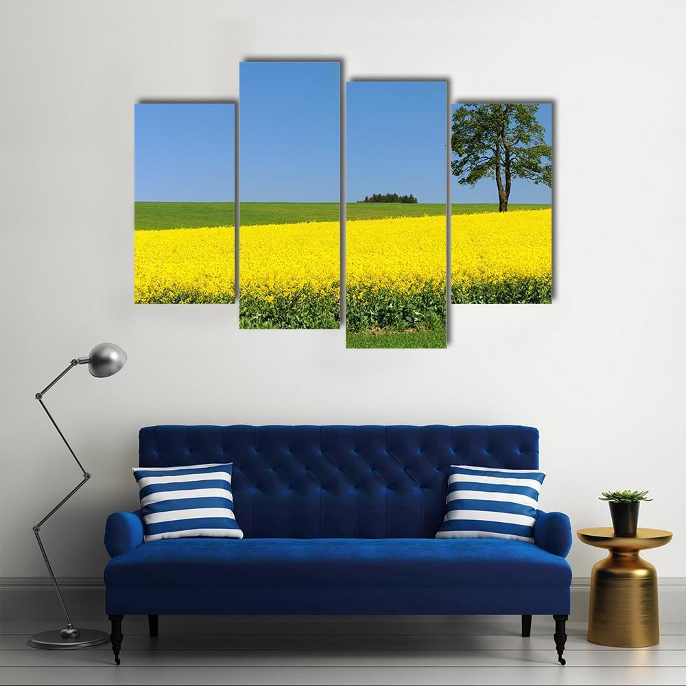 Field Of Rapeseed Canvas Wall Art-4 Pop-Gallery Wrap-50" x 32"-Tiaracle