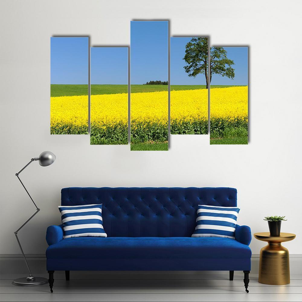 Field Of Rapeseed Canvas Wall Art-5 Pop-Gallery Wrap-47" x 32"-Tiaracle