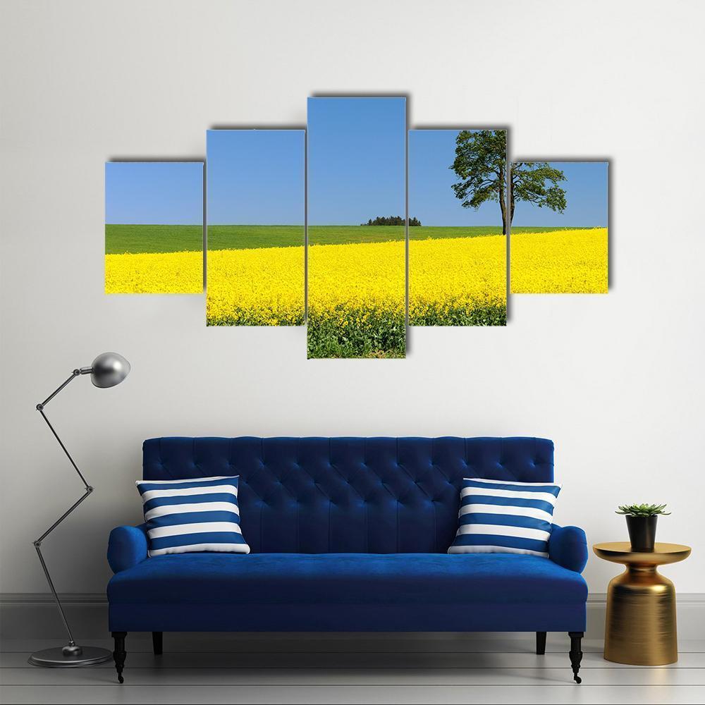 Field Of Rapeseed Canvas Wall Art-5 Star-Gallery Wrap-62" x 32"-Tiaracle