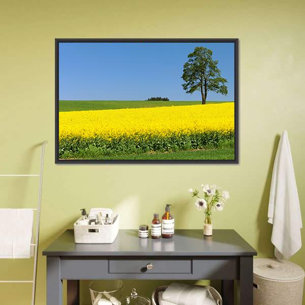 Field Of Rapeseed Canvas Wall Art-1 Piece-Floating Frame-24" x 16"-Tiaracle