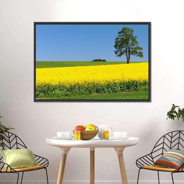 Field Of Rapeseed Canvas Wall Art-3 Horizontal-Gallery Wrap-25" x 16"-Tiaracle