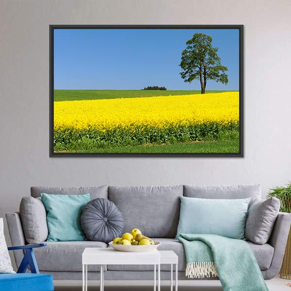 Field Of Rapeseed Canvas Wall Art-3 Horizontal-Gallery Wrap-25" x 16"-Tiaracle