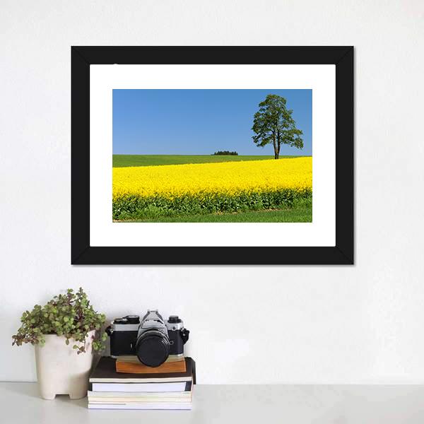 Field Of Rapeseed Canvas Wall Art-1 Piece-Framed Print-20" x 16"-Tiaracle