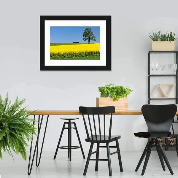 Field Of Rapeseed Canvas Wall Art-3 Horizontal-Gallery Wrap-25" x 16"-Tiaracle