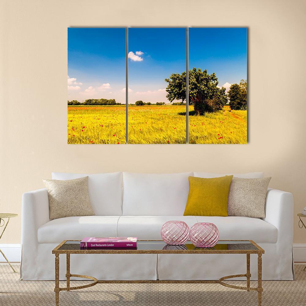Fields In Friuli Venezia Giulia Canvas Wall Art-3 Horizontal-Gallery Wrap-37" x 24"-Tiaracle