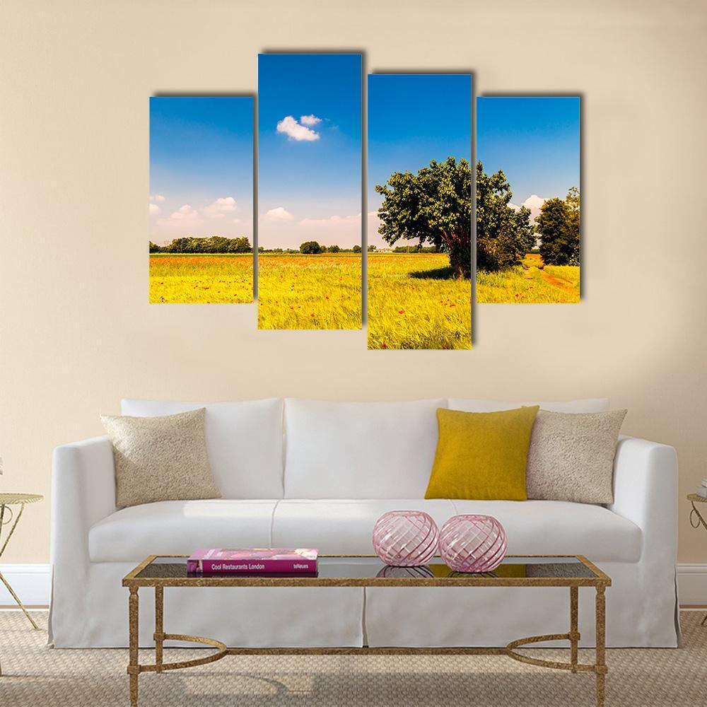 Fields In Friuli Venezia Giulia Canvas Wall Art-4 Pop-Gallery Wrap-50" x 32"-Tiaracle