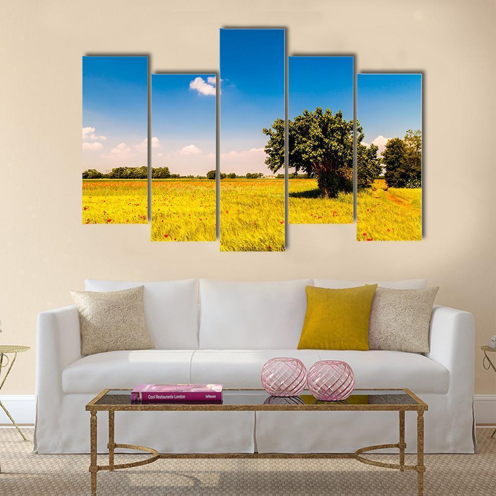 Fields In Friuli Venezia Giulia Canvas Wall Art-5 Pop-Gallery Wrap-47" x 32"-Tiaracle