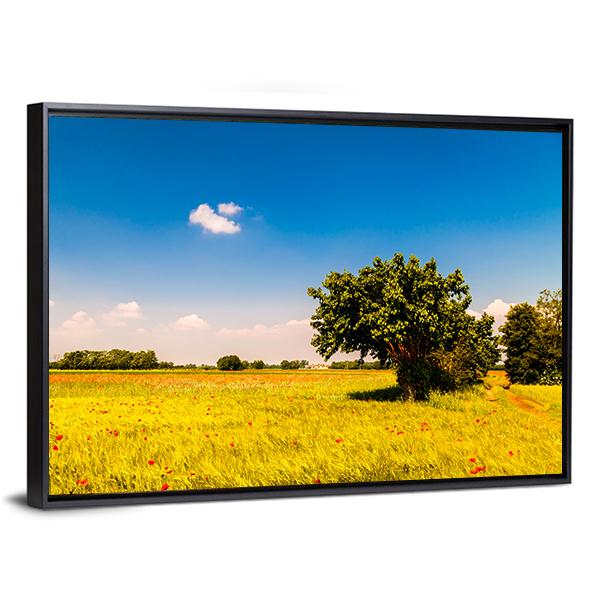 Fields In Friuli Venezia Giulia Canvas Wall Art-3 Horizontal-Gallery Wrap-25" x 16"-Tiaracle