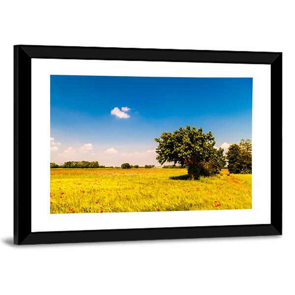 Fields In Friuli Venezia Giulia Canvas Wall Art-3 Horizontal-Gallery Wrap-25" x 16"-Tiaracle
