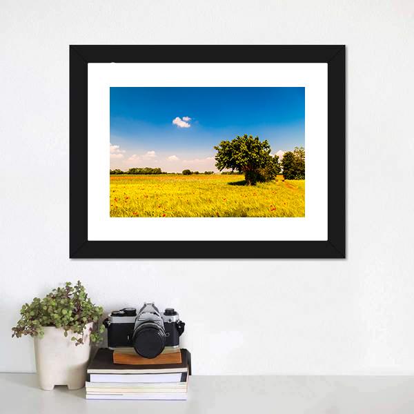 Fields In Friuli Venezia Giulia Canvas Wall Art-1 Piece-Framed Print-20" x 16"-Tiaracle