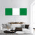 Nigeria Flag Panoramic Canvas Wall Art-3 Piece-25" x 08"-Tiaracle